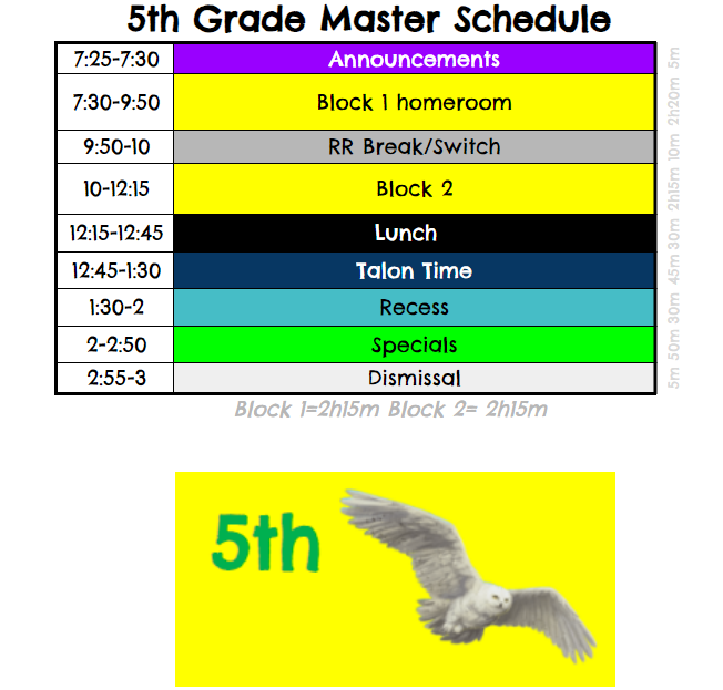 Daily Schedule
